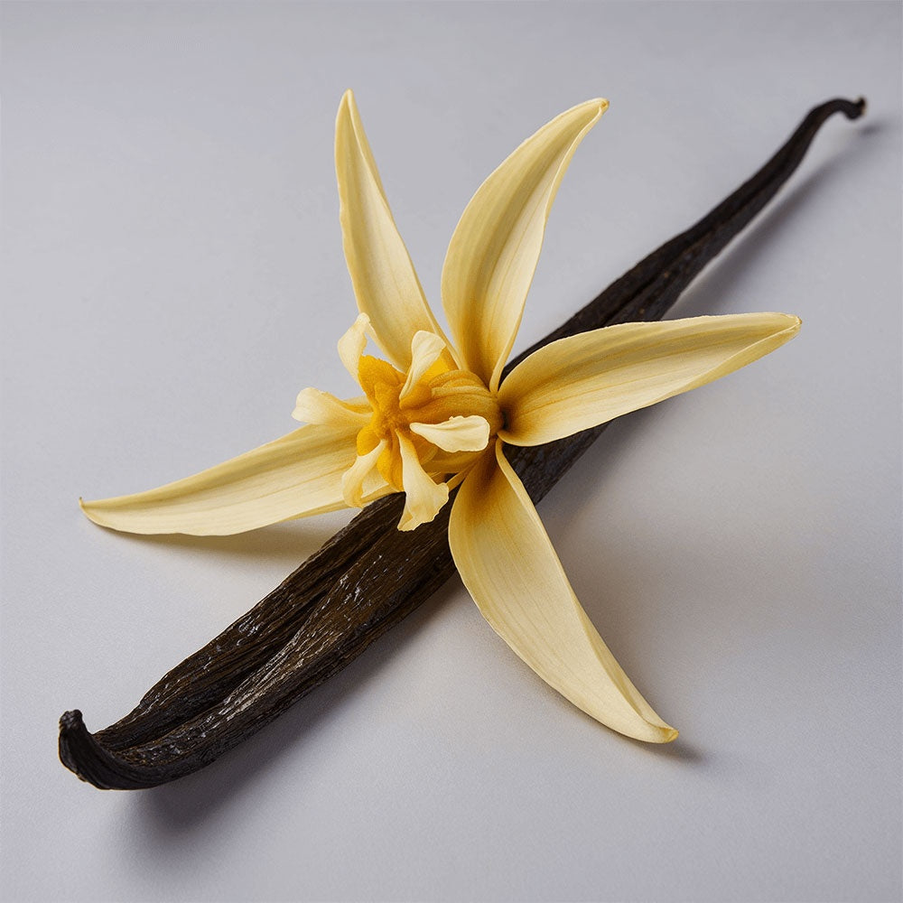 Grass-Fed Whipped Tallow Balm with Vanilla Bean