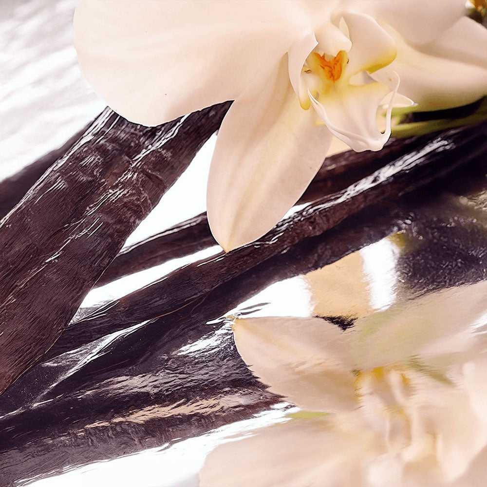 Grass-Fed Whipped Tallow Balm with Vanilla Bean